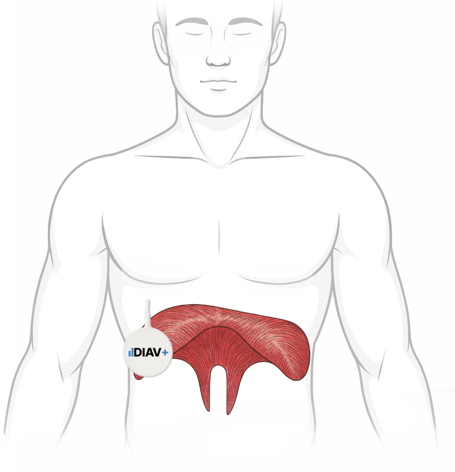 capture d’écran 2025 10 01 à 00.08.58